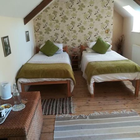 Y Garreg Wen Bed & Breakfast Llanybydder ภายนอก รูปภาพ