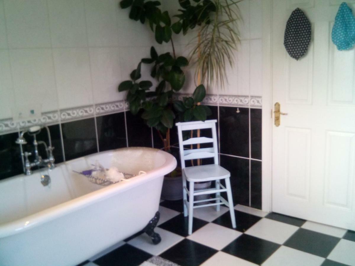 Y Garreg Wen Bed & Breakfast Llanybydder ภายนอก รูปภาพ