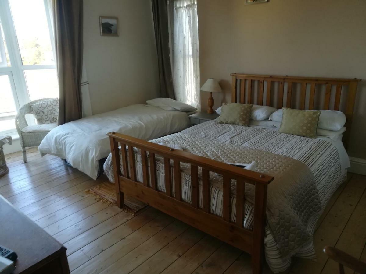 Y Garreg Wen Bed & Breakfast Llanybydder ภายนอก รูปภาพ