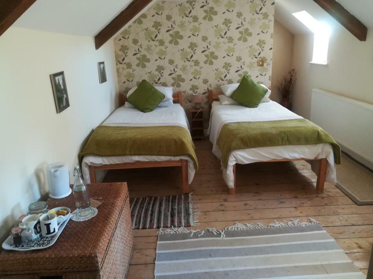 Y Garreg Wen Bed & Breakfast Llanybydder ภายนอก รูปภาพ