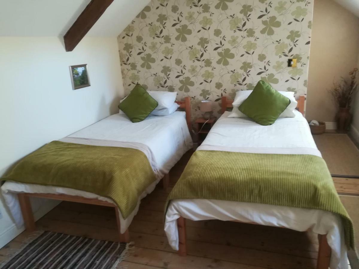 Y Garreg Wen Bed & Breakfast Llanybydder ภายนอก รูปภาพ