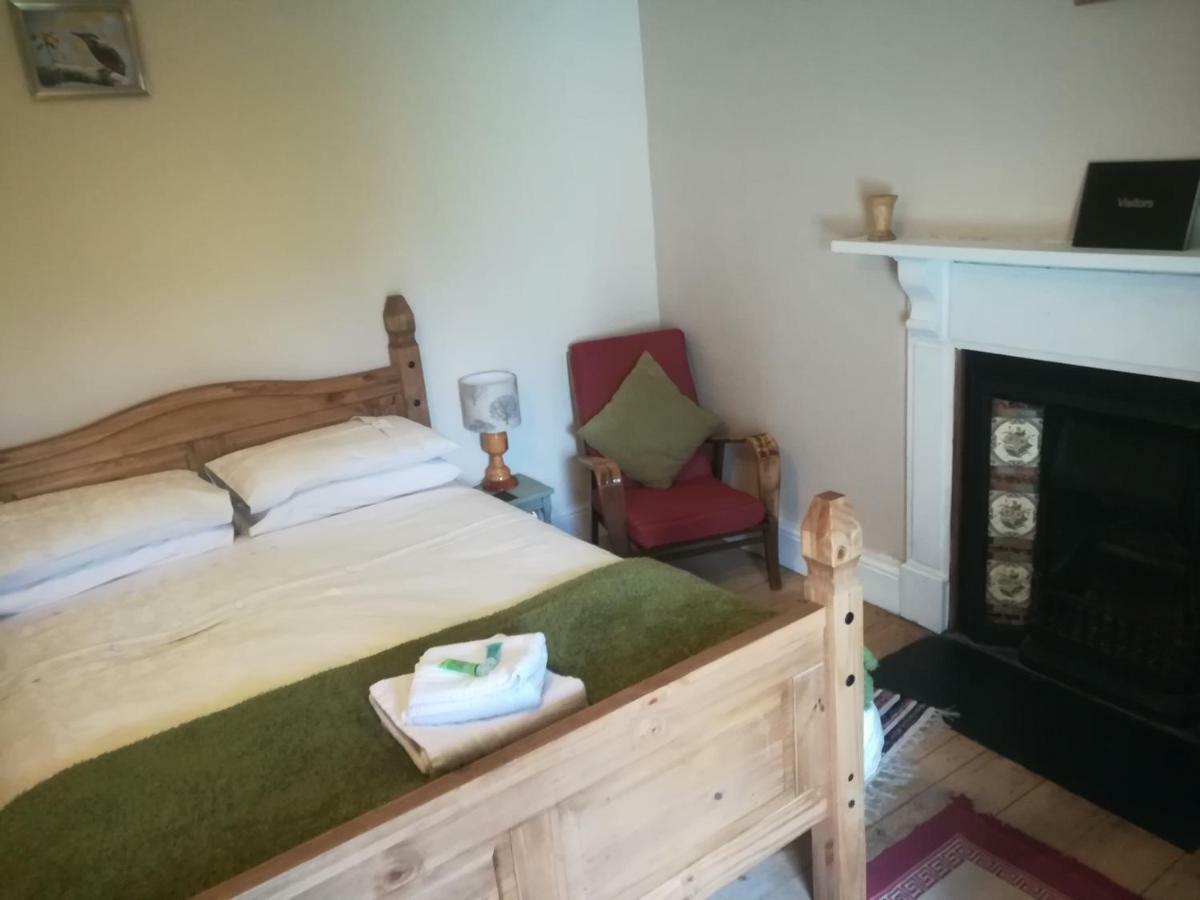 Y Garreg Wen Bed & Breakfast Llanybydder ภายนอก รูปภาพ